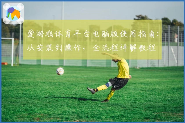 爱游戏体育平台电脑版使用指南：从安装到操作，全流程详解教程
