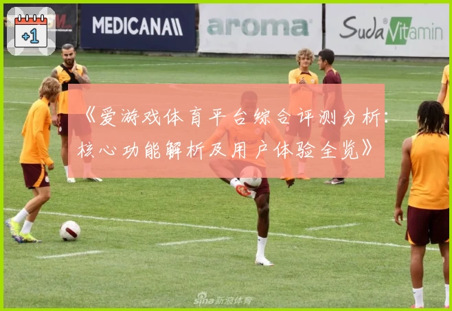 《爱游戏体育平台综合评测分析：核心功能解析及用户体验全览》